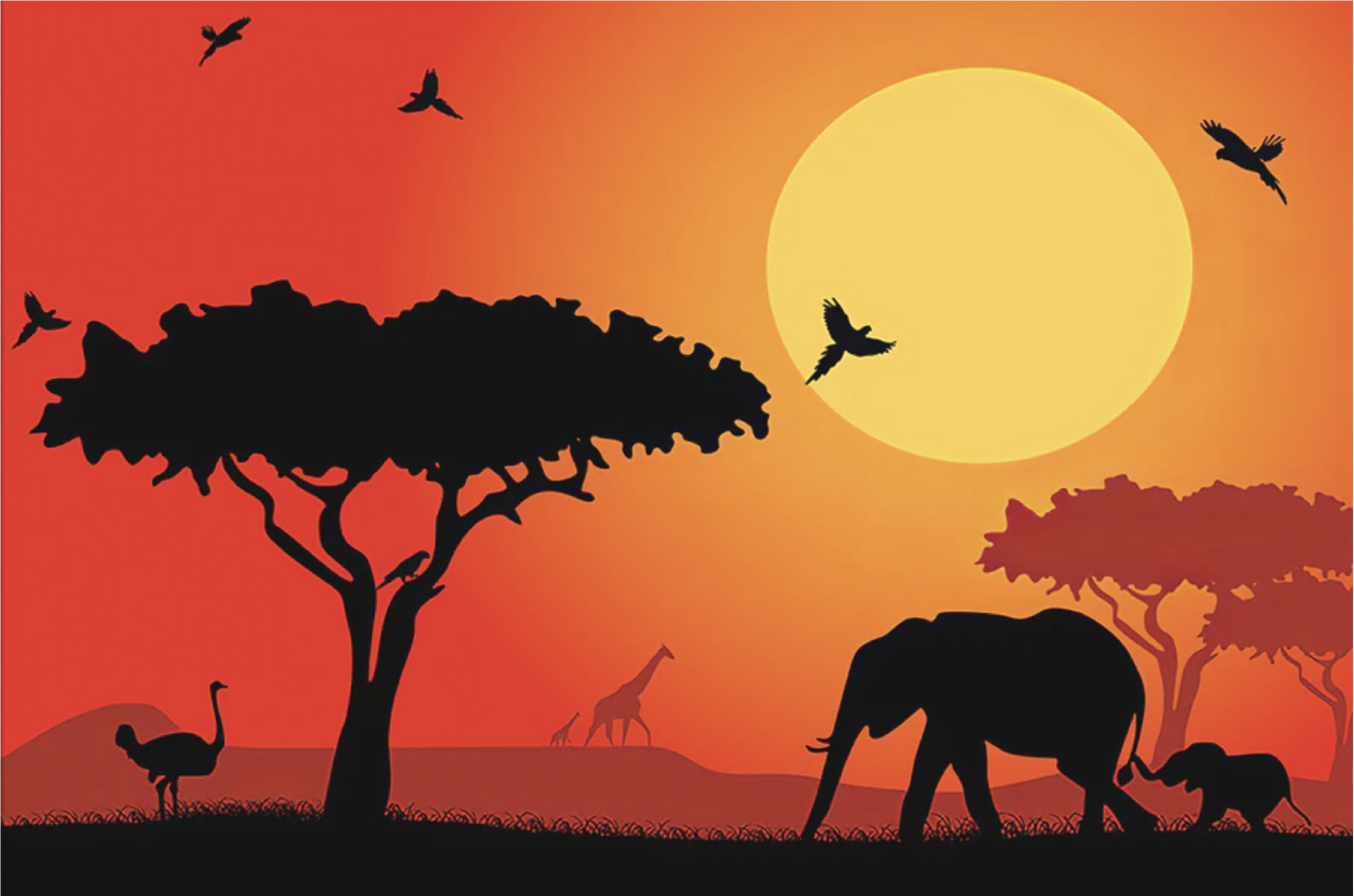 An African Sunset SATURDAY DEC 2nd, 2023 7:00-9:00PM