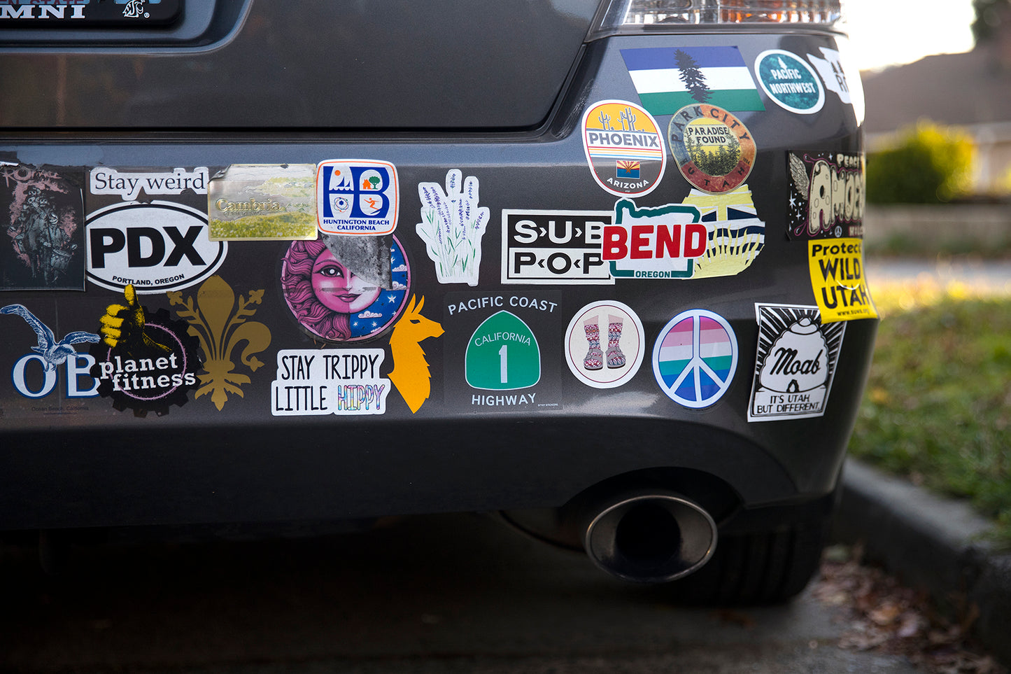 Bumper Stickers