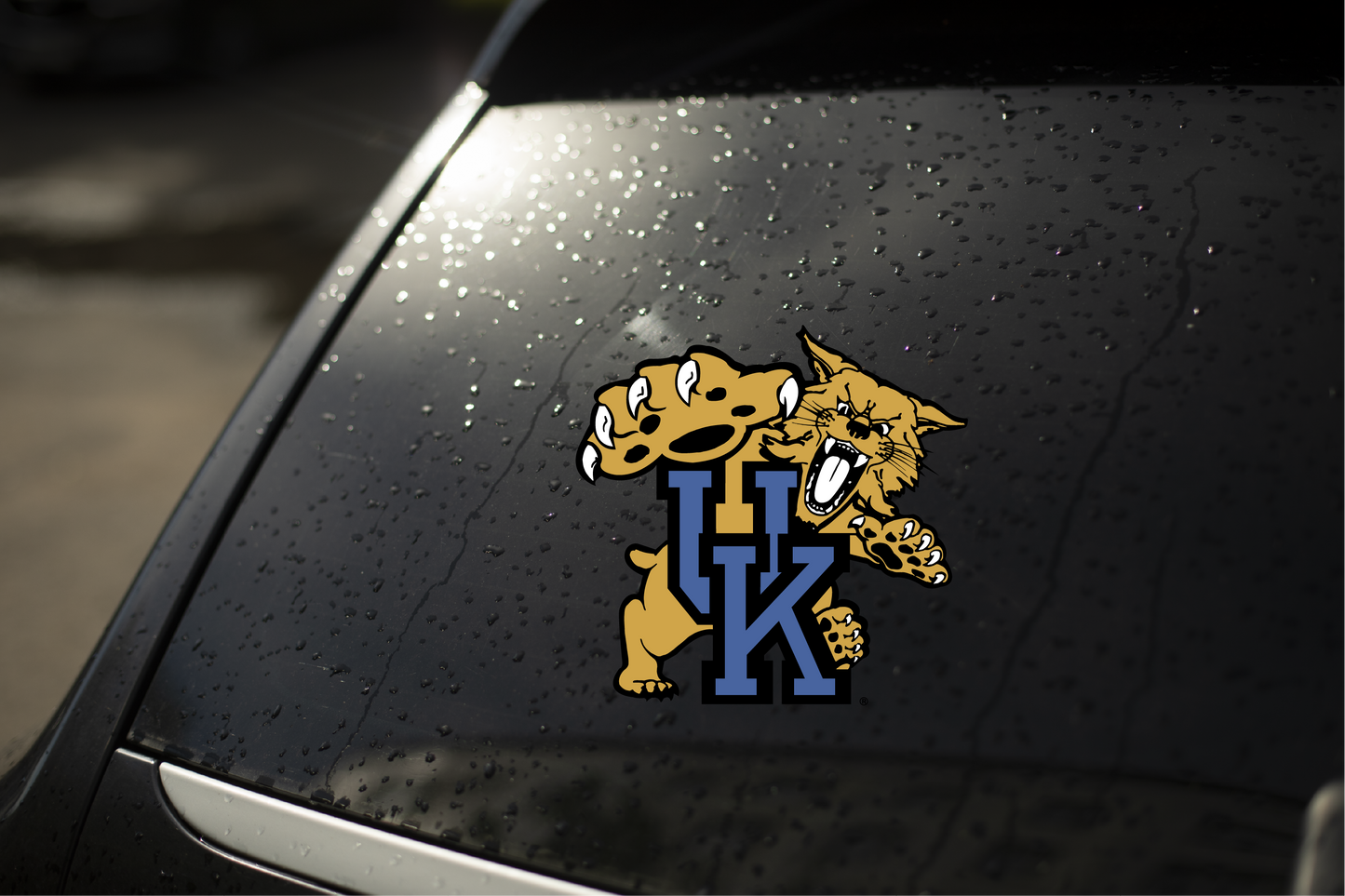 Window Decals