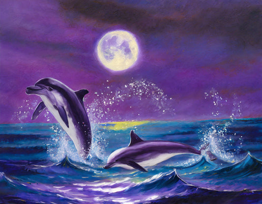 Dolphin Night APRIL 27th, 2024 7:00-9:00PM